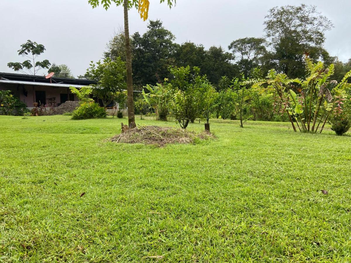 Casa Danta Drake Bay Exterior foto